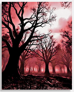 Crimson Twilight