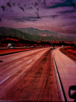 Road Trip